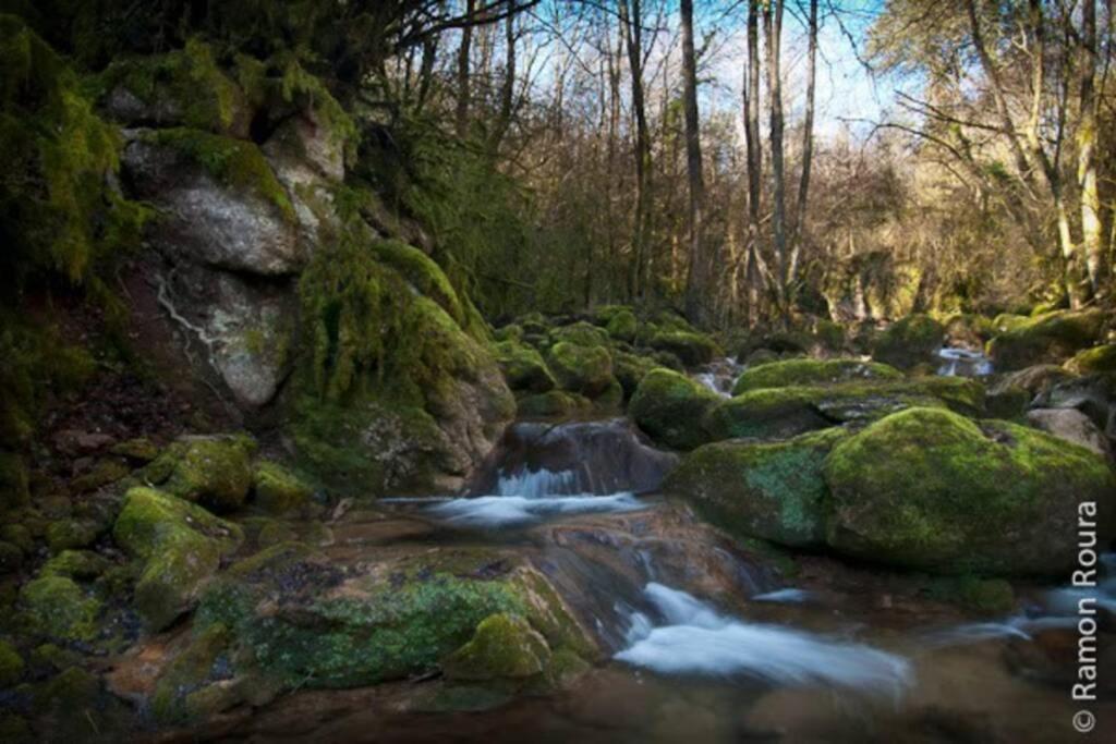 La Badenca. Masia Catalana Del S. XVII Riudaura Esterno foto