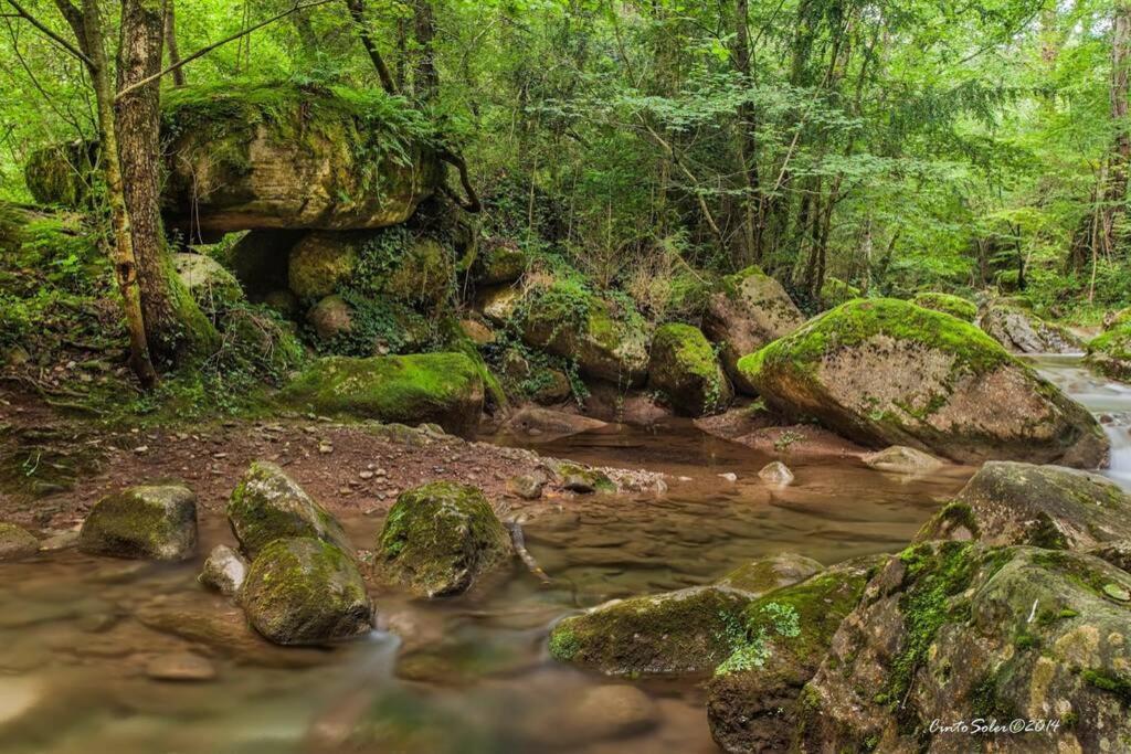 La Badenca. Masia Catalana Del S. XVII Riudaura Esterno foto